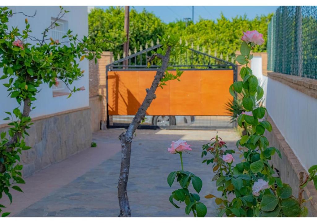 Zahrada ubytování MojacarProperty, Apto Los Llanos