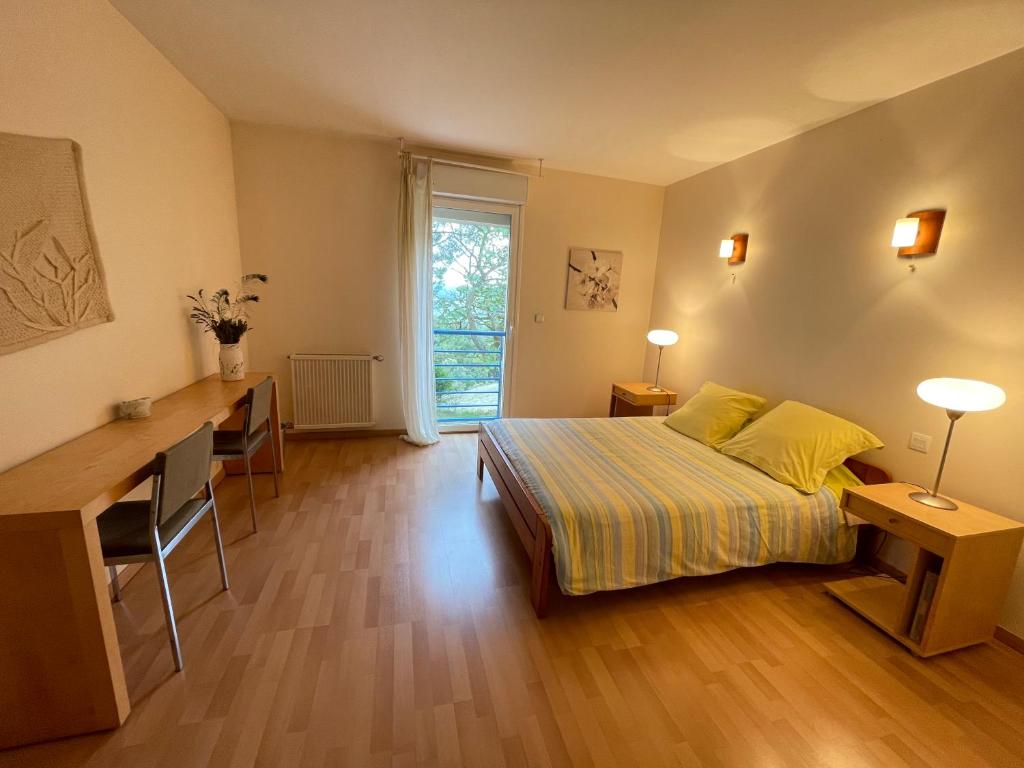 Schlafzimmer mit einem Bett, einem Schreibtisch und einem Fenster in der Unterkunft Les chambres de Testory in Montesquieu-Volvestre