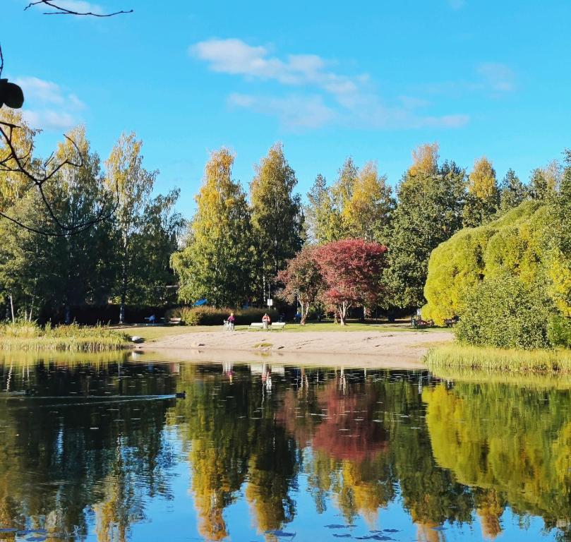 a park with trees reflecting in the water at Joutjärven Studio Apartment in Lahti