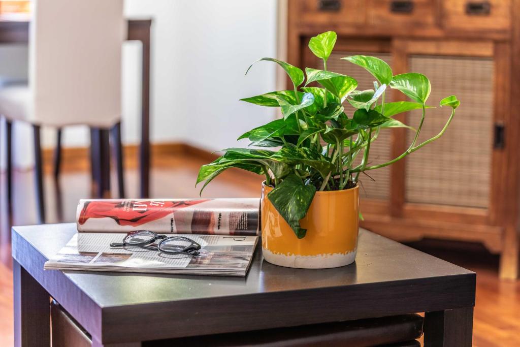 Prada House - One-Bedroom Apartment