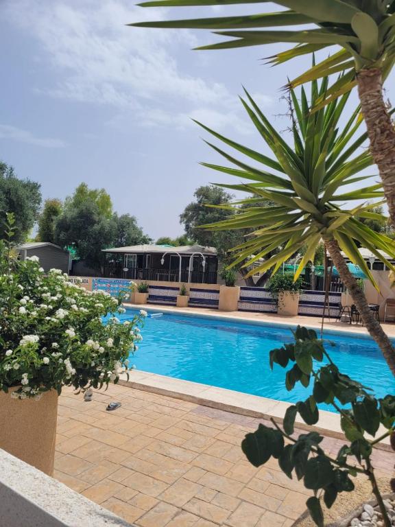 Piscina en o cerca de Camping Costa Blanca