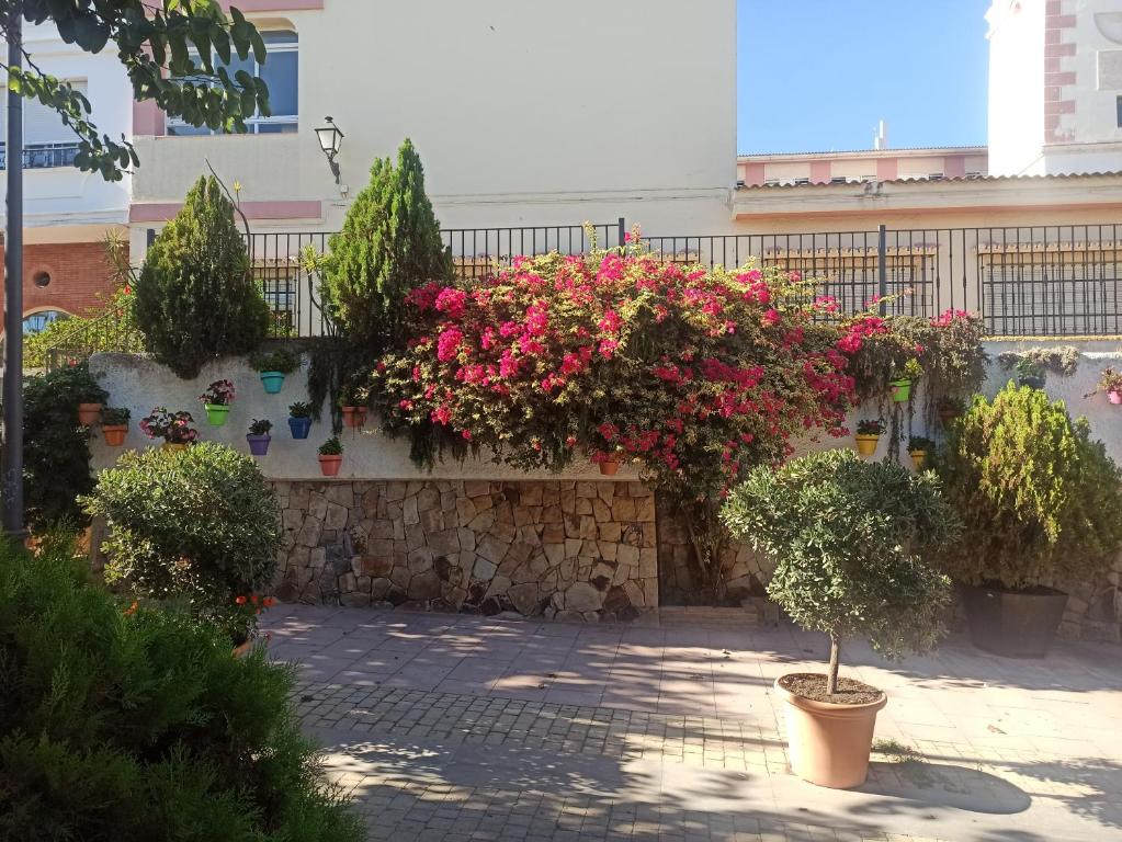 Noria 4 appartment with private pools, garden, large terasse ...