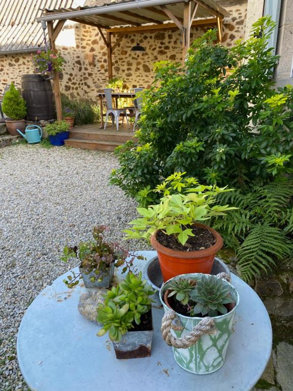 a group of potted plants on a table in a garden at Gîte Maison Maitri in Forgès