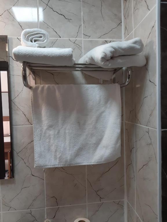 Sapran Deluxe Hotel - 标准的双室