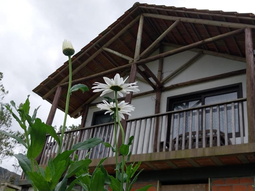 Pousada Pouso das Águias - Two-Bedroom Townhouse