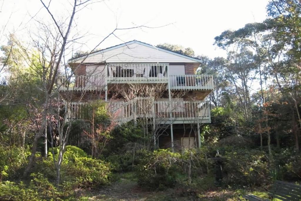 a tree house with a deck in the woods at Hearthstone in Blackheath