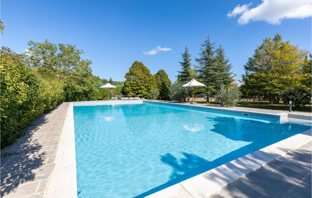 a large swimming pool with blue water at Mandorli in Monte Santa Maria Tiberina