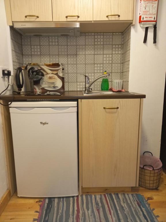 Kuchyň nebo kuchyňský kout v ubytování Theoxenia