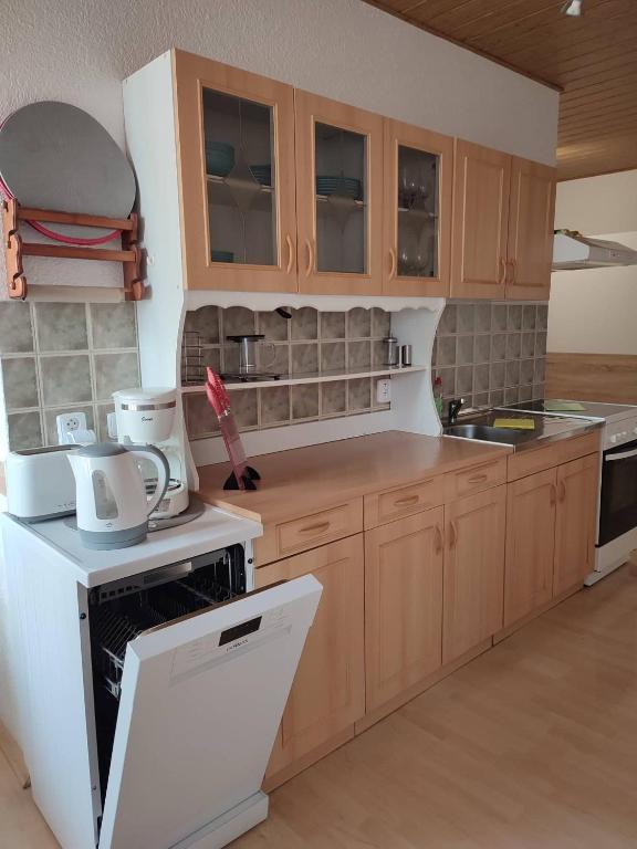 Kuchyň nebo kuchyňský kout v ubytování apartmány 2+1 u Klínovce
