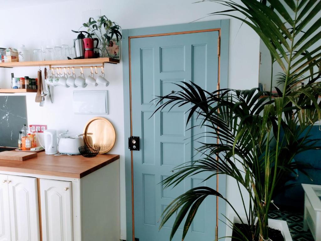 a kitchen with a blue door and a plant at ABA DALÍ in Conil de la Frontera