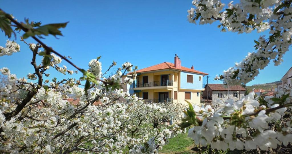 una casa detrás de un árbol con flores blancas en House Venetia en Órma