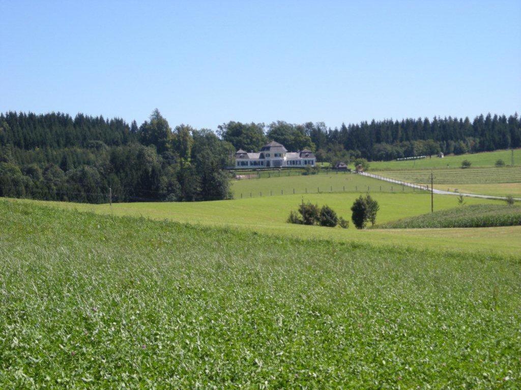 a field of green grass with a house in the background at Schloß Ziegersberg 