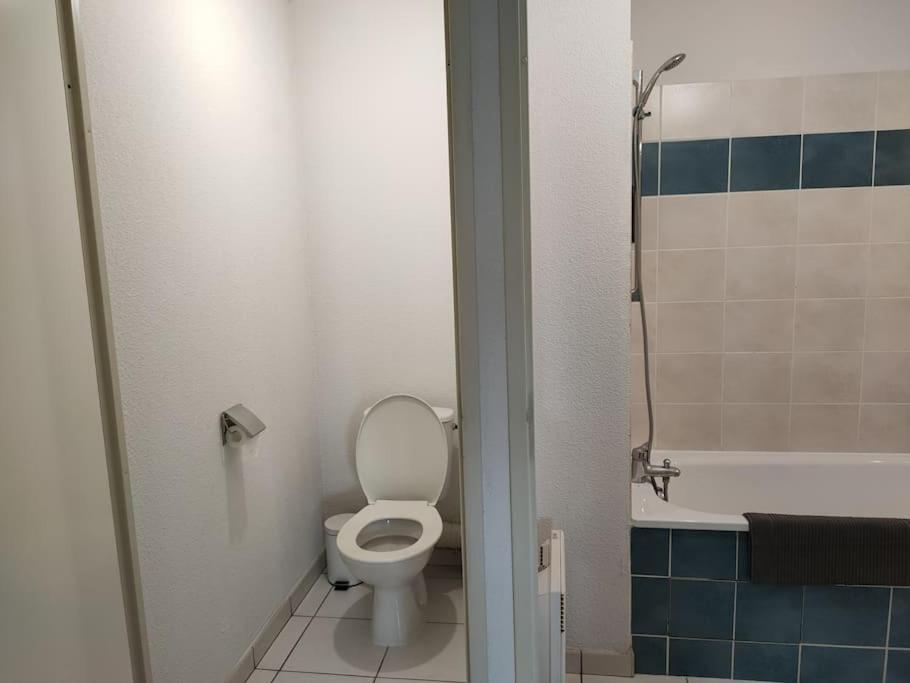 a bathroom with a toilet and a tub and a shower at Spacieux et joli appartement de 2 à 4 personnes • Parking • Wifi in Fenouillet