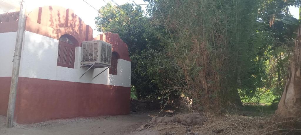 Zahrada ubytování Hamd Nubian Guest House