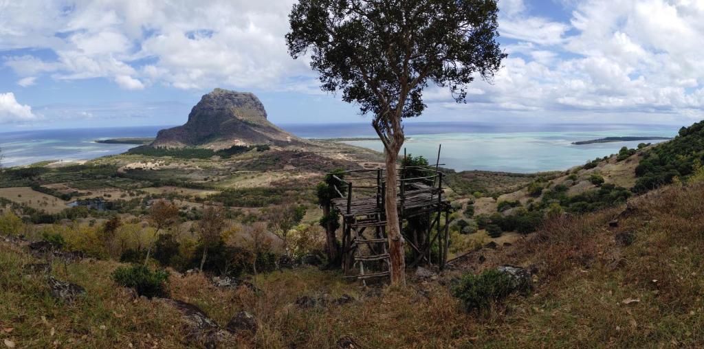 a view of a hill with a tree and the ocean at Labrize Studio in La Gaulette
