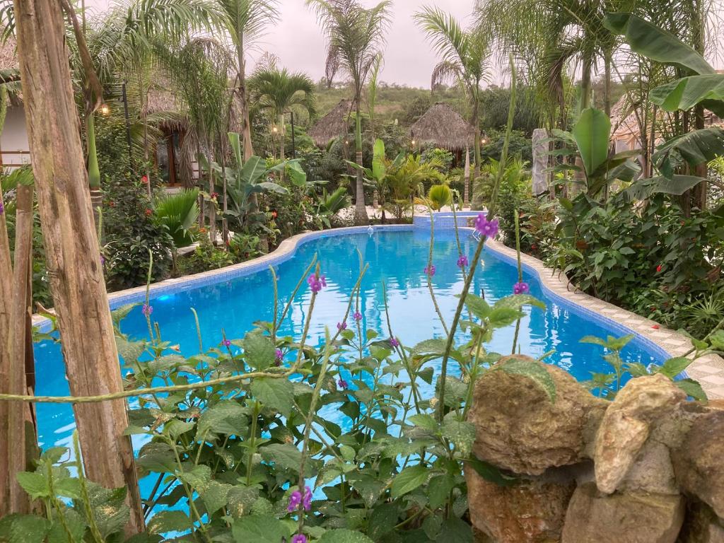 a swimming pool in a garden with plants at Hotel La Costa International in Puerto López