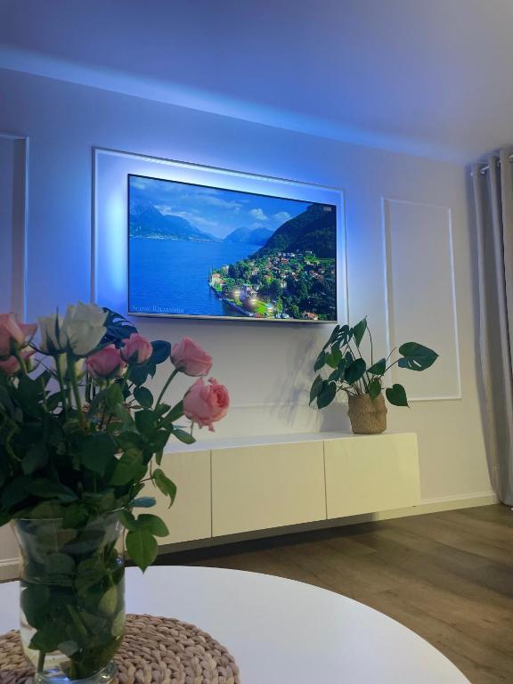 TV a/nebo společenská místnost v ubytování Casa Baltica Apartment
