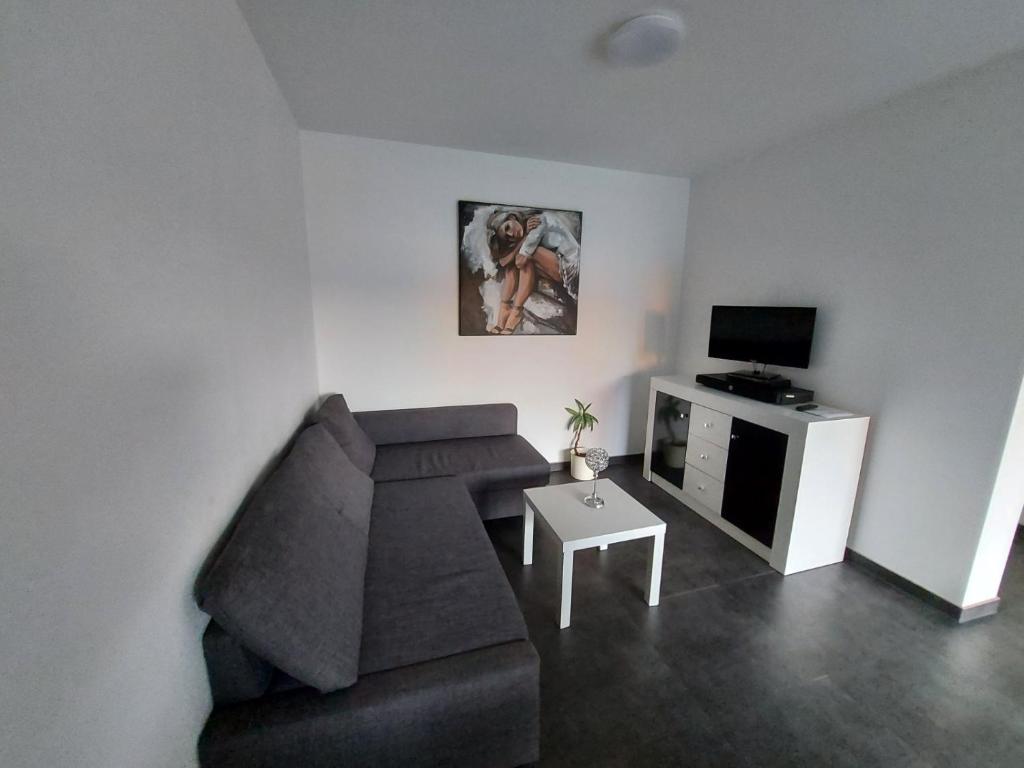 TV a/nebo společenská místnost v ubytování Comfortable room with double bed