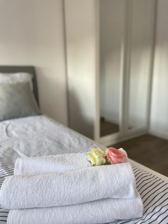 Postel nebo postele na pokoji v ubytování Casa Baltica Apartment