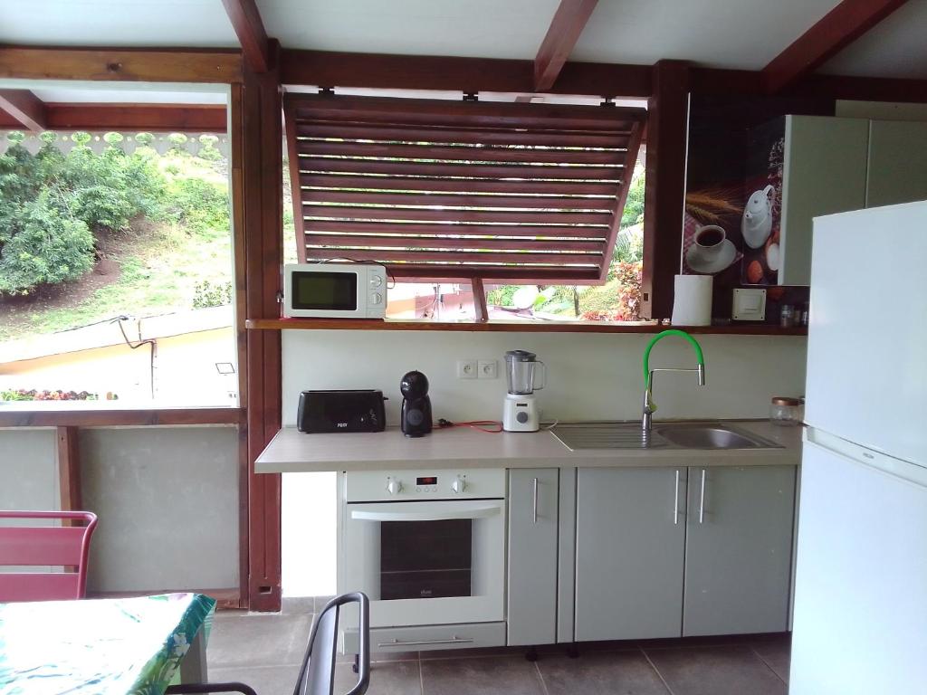 a kitchen with a sink and a counter with a microwave at La Poulette amazonienne in La Mauny