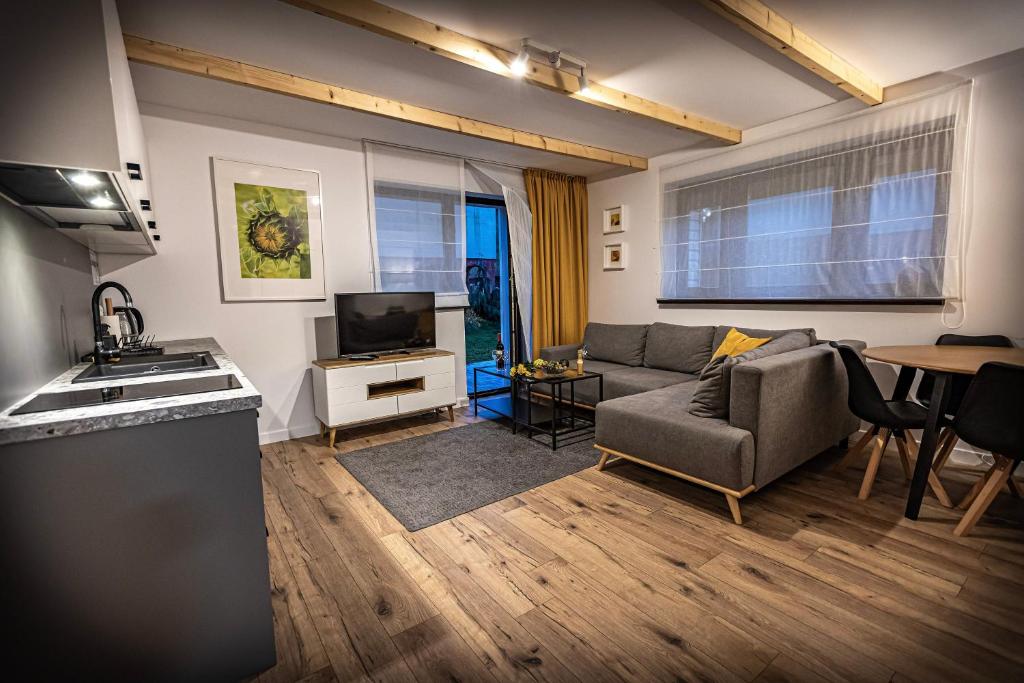 Televízia a/alebo spoločenská miestnosť v ubytovaní Apartamenty MIODZIO