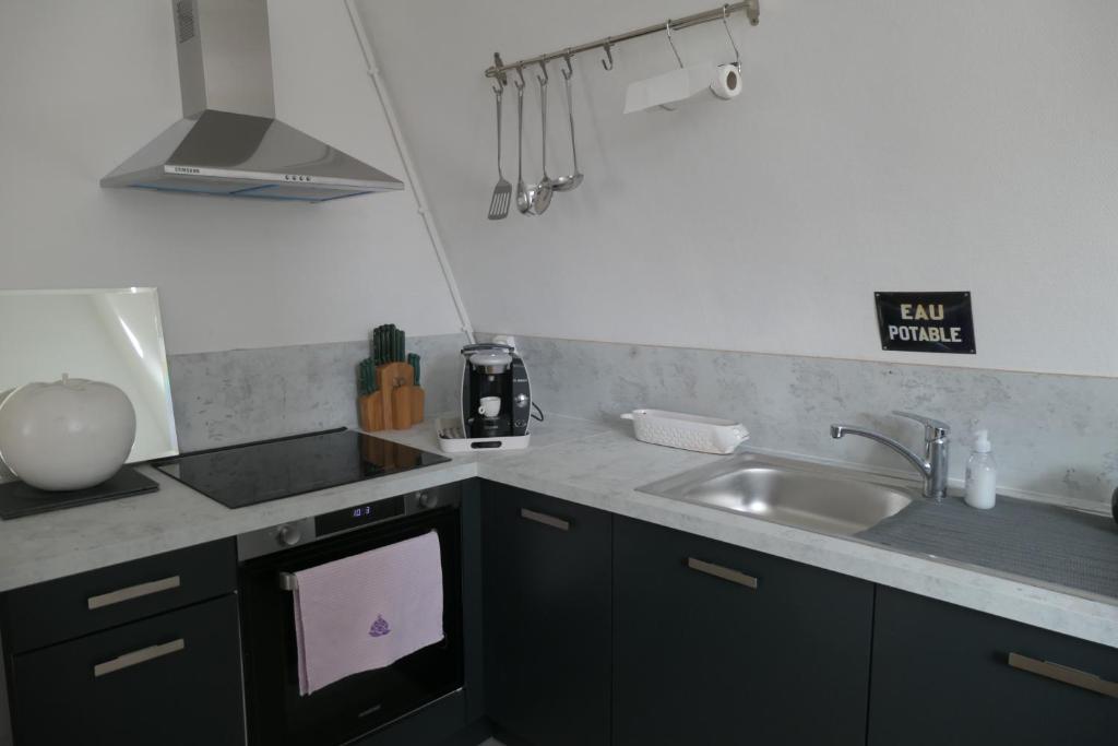 Kuchyňa alebo kuchynka v ubytovaní Appartement - Villa Léopold à Malo
