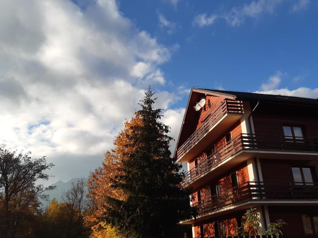 a building with a christmas tree in front of it at Apartman Tatry in Tatranská Lomnica