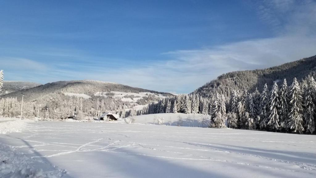 Príroda v okolí apartmánu