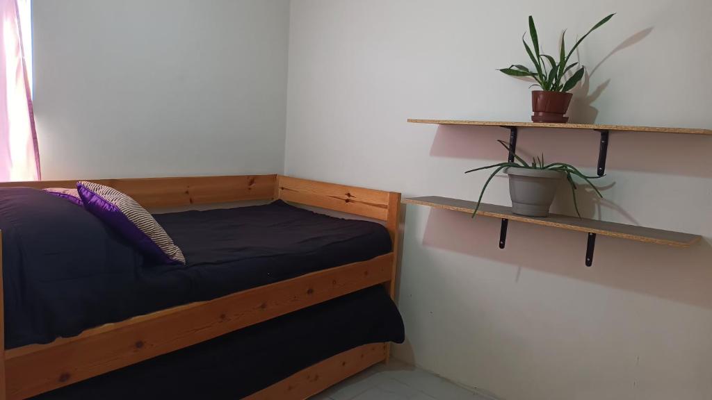a bedroom with a bed and a shelf with a potted plant at Airport Hostel in Ciudad Juárez