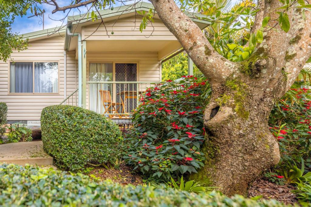 Κήπος έξω από το Camelot Boutique Accommodation