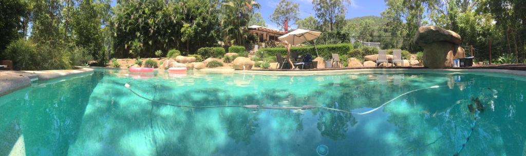 a swimming pool with blue water in a yard at Romantic Bush Haven in Camp Mountain