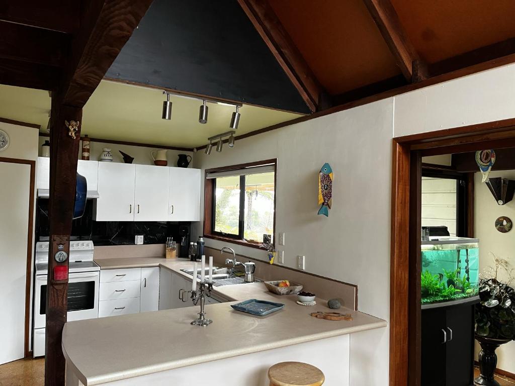 a kitchen with a sink and a fish tank at Luigi's home in Rotorua