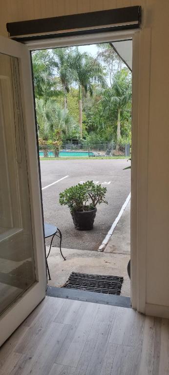 Zahrada ubytování Buderim Fiesta Motel
