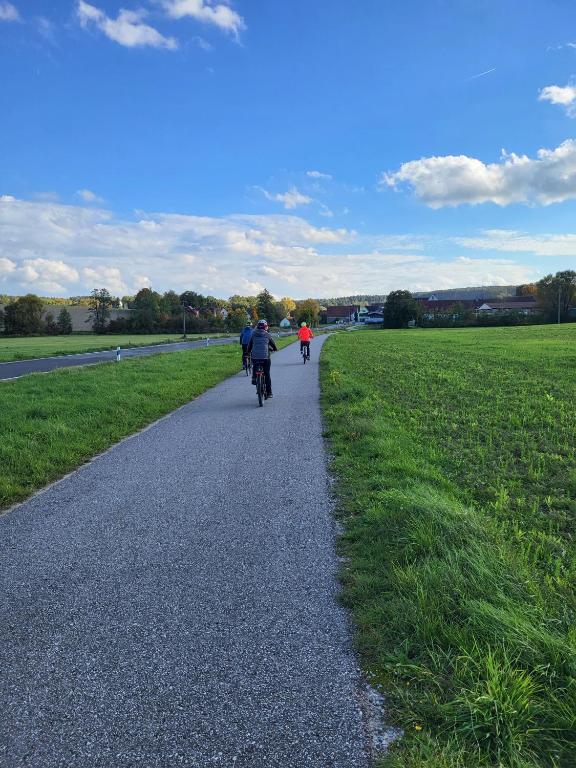 Ferienwohnung Deichblick - 12