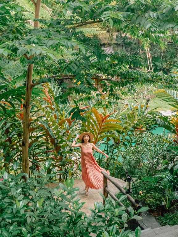 Zahrada ubytování Korurua Dijiwa Ubud