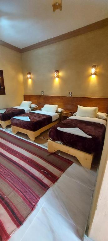 a row of beds in a large room with carpet at Nour El Waha Hotel in Siwa