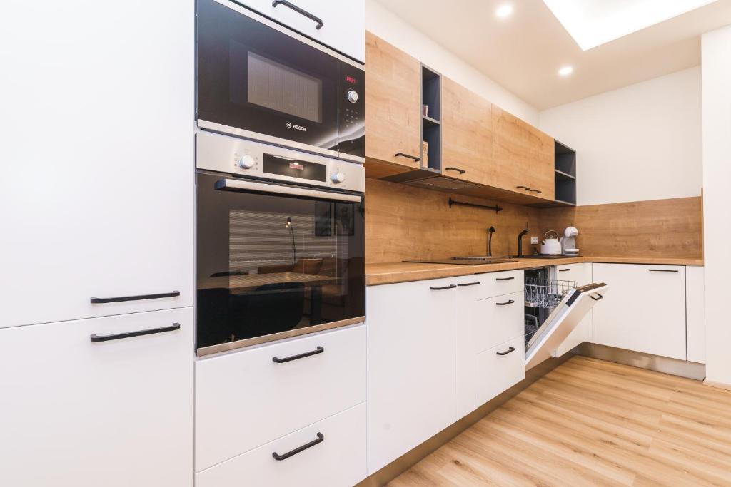 Kuchyň nebo kuchyňský kout v ubytování Apartmán SKI Plešivec