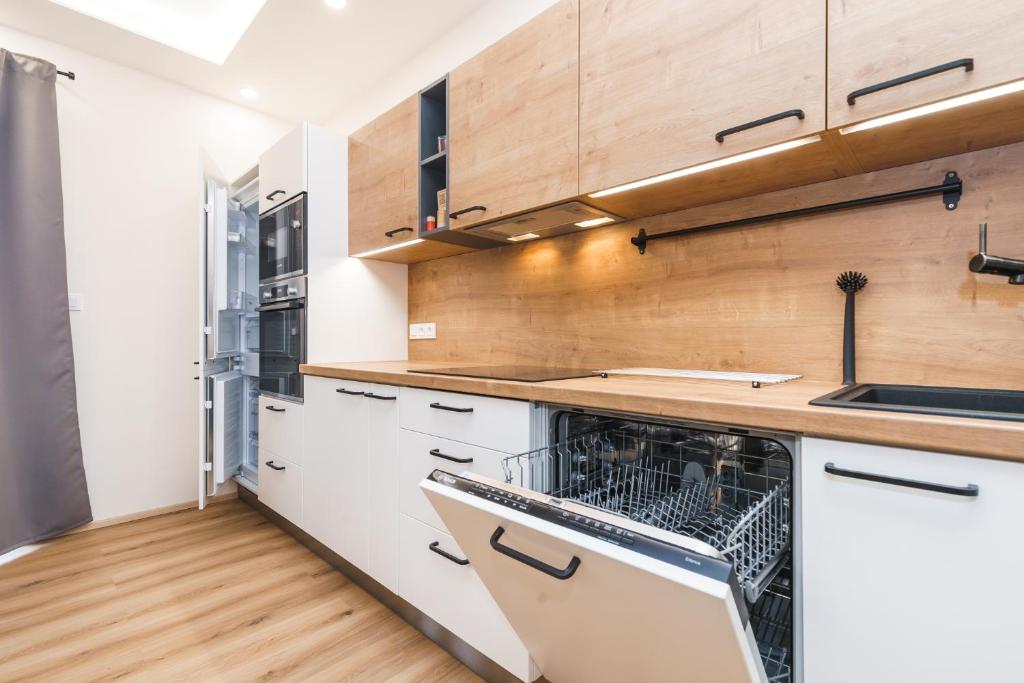 Kuchyň nebo kuchyňský kout v ubytování Apartmán SKI Plešivec