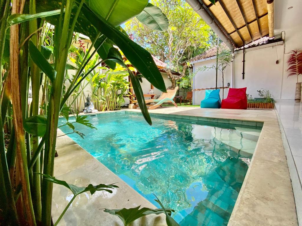 a swimming pool in a house with plants at Timaya Villa in Legian