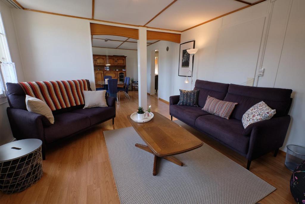 a living room with two couches and a coffee table at Ferienwohnung in Wasen