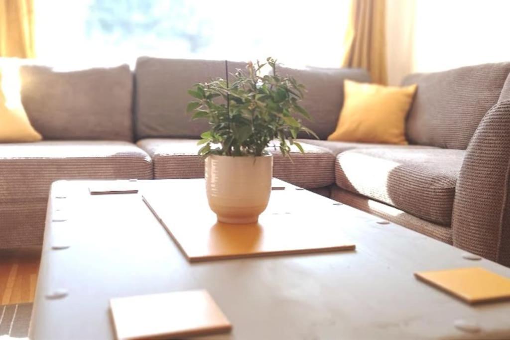 ein Wohnzimmer mit einem Tisch und einer Pflanze darauf in der Unterkunft Peaceful 4 bedroom house with free parking in Frimley