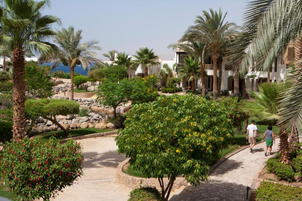 Zahrada ubytování Sharm Resort