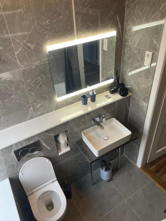 a bathroom with a sink and a toilet and a mirror at AT-Apartments - Hannover-Mitte in Hannover