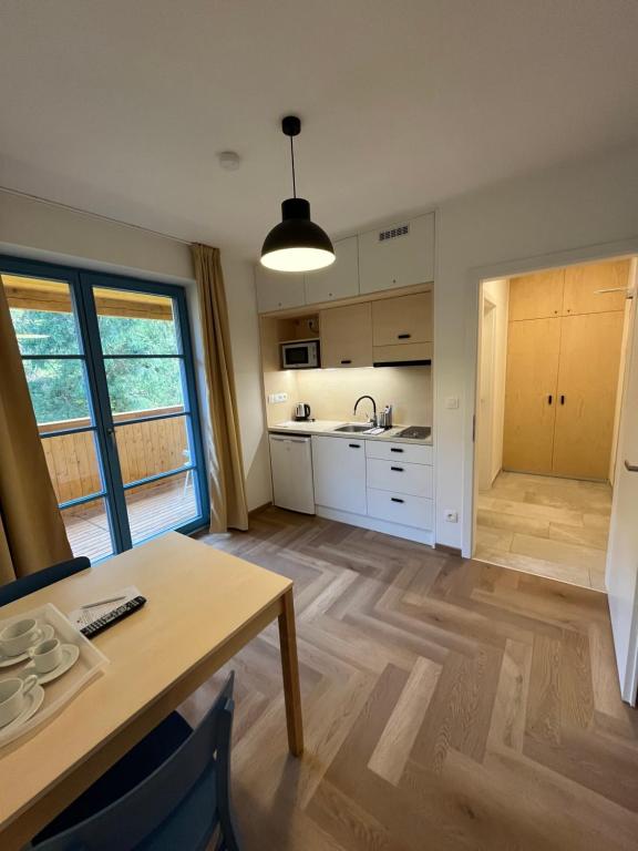 Kuchyň nebo kuchyňský kout v ubytování Hotel Edvard