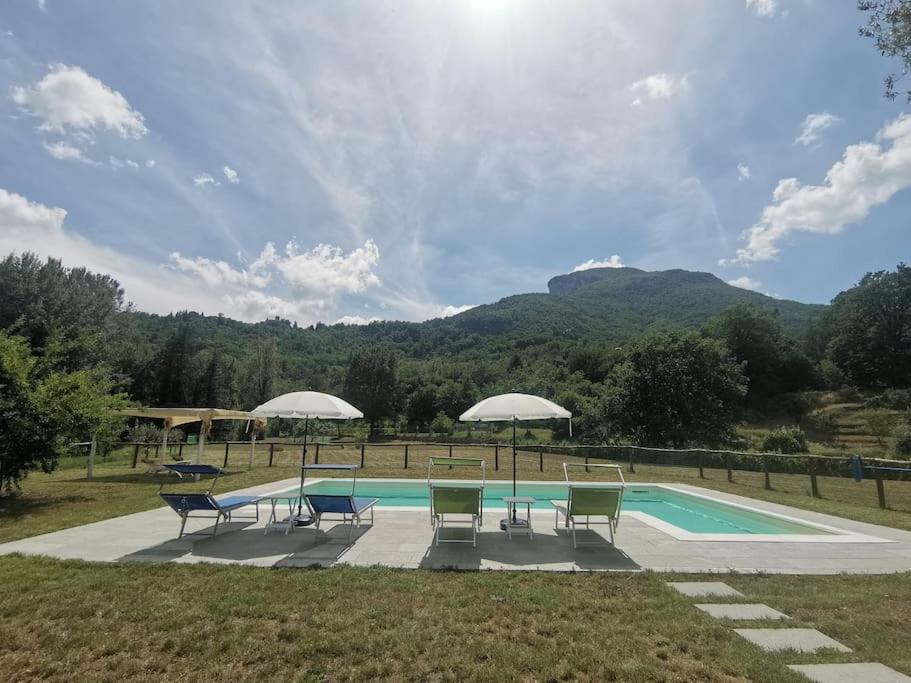 a swimming pool with chairs and umbrellas in a field at Ai tre Campi in Fornaci di Barga