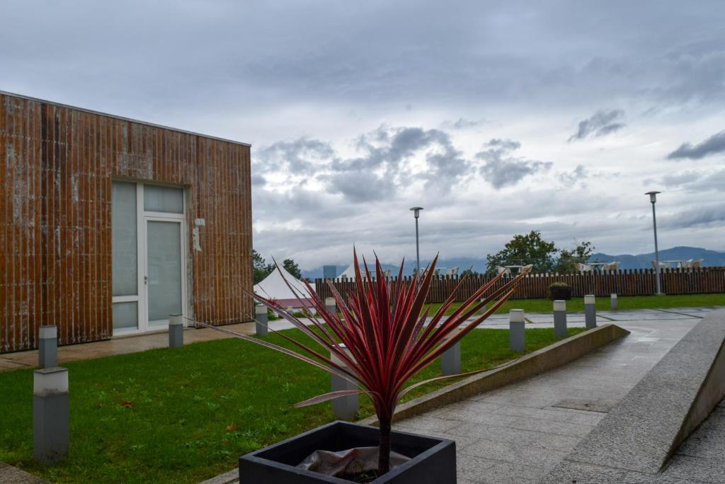 A garden outside Hotel Nande