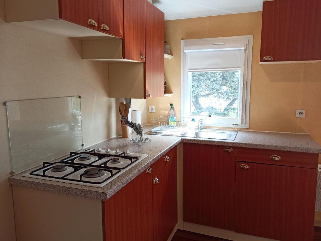 Kuchyň nebo kuchyňský kout v ubytování Casitas Mobil Home