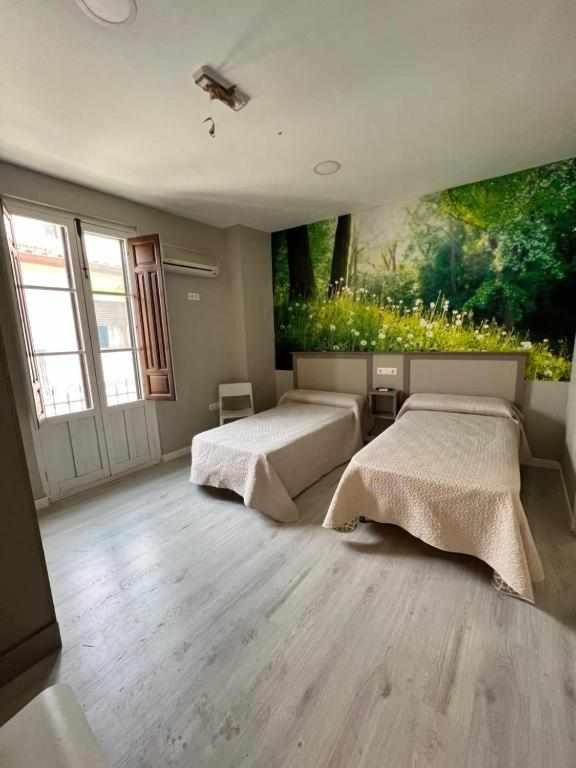 Hostal Viena Plaza Nueva - Resim 32