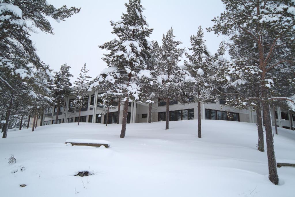 Lapland Hotels Hetta during the winter