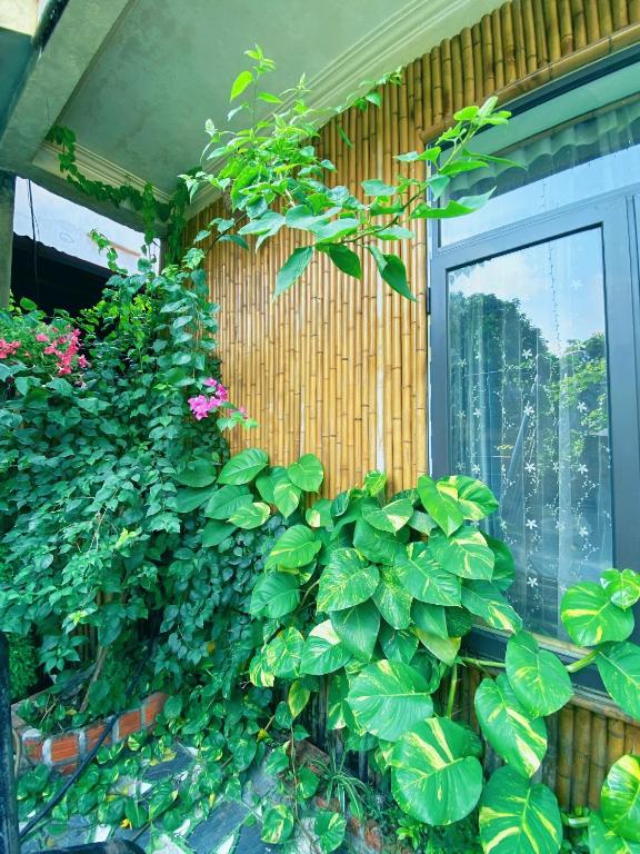 Trang An Moon Garden Homestay - 16